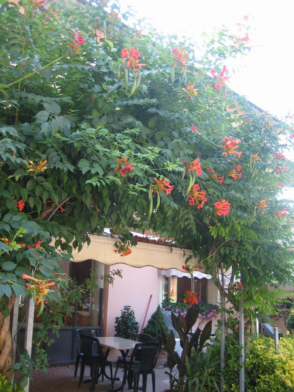 Ristorante Sterlina Grizzana